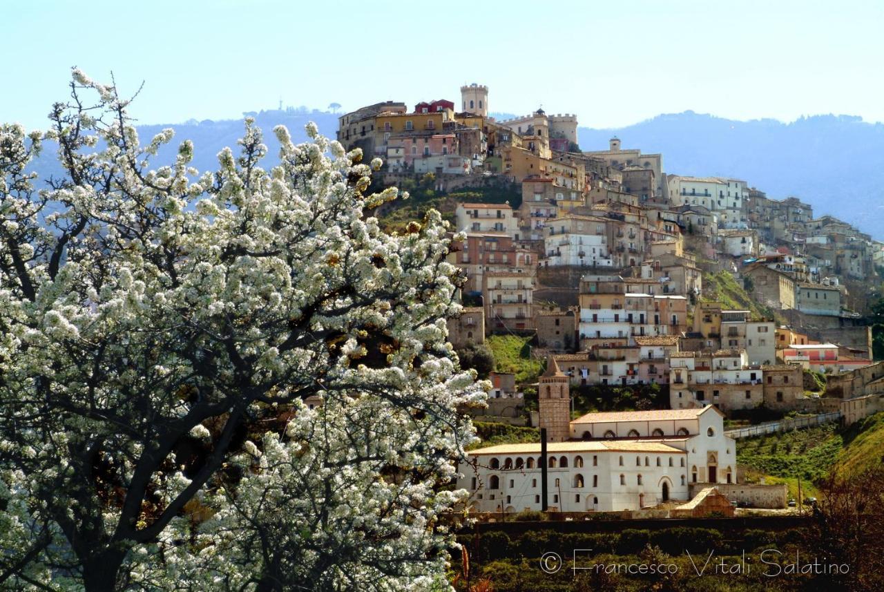 Bed and Breakfast Apeiron Corigliano Calabro Exterior foto